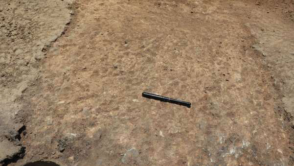 Condition of exposed base-layer at the end of the test